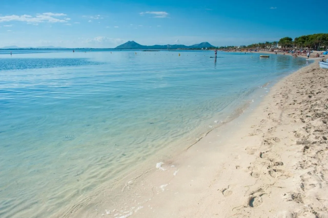 Cal Papa Petit Διαμέρισμα Port de Pollenca